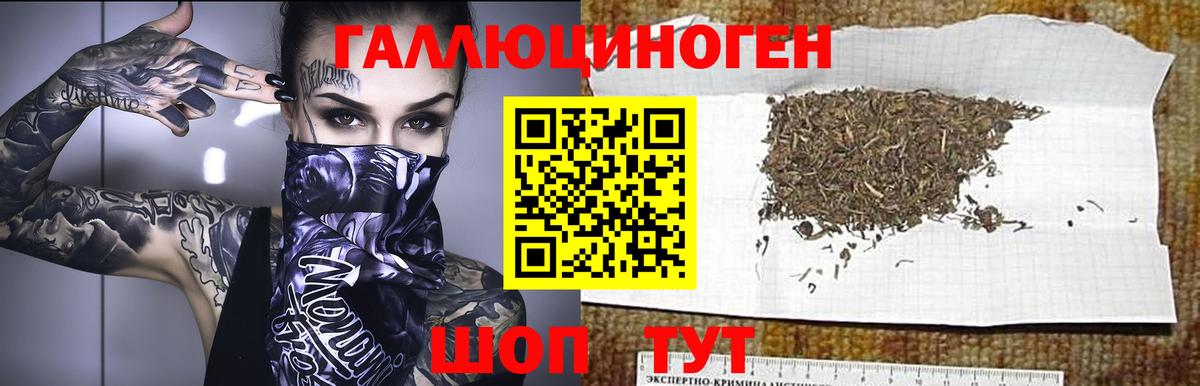 Псилоцибиновые грибы мицелий Шелехов